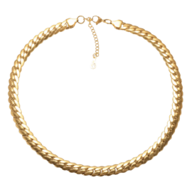 Snake Bone Necklace