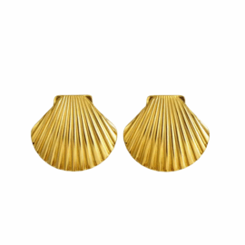 Shell Earrings