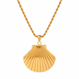 Shell Necklace
