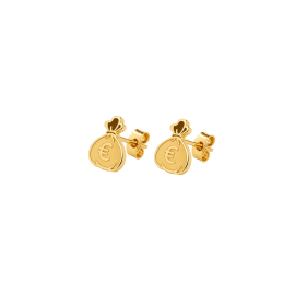 Euro Money Bag Earrings